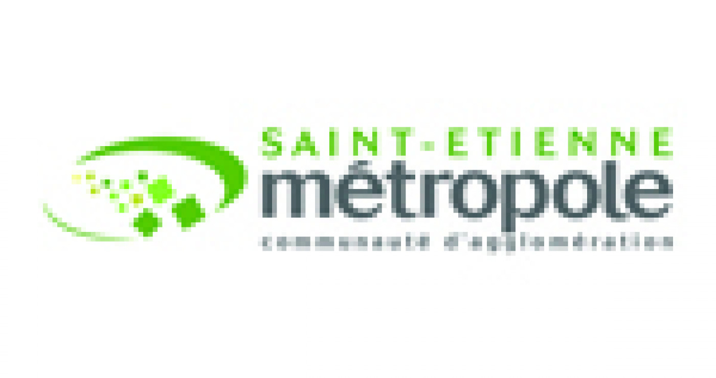 fonds de professionnalisation Saint-Etienne
